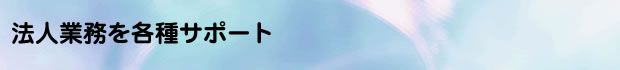 法人業務を各種サポート